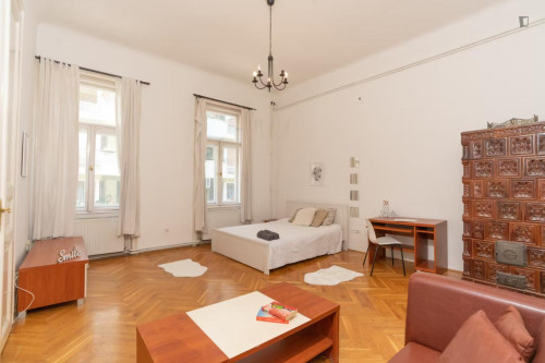 Spacious double bedroom in Terézváros