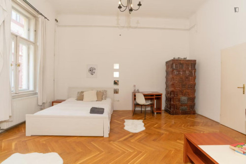 Spacious double bedroom in Terézváros