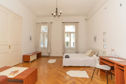 Spacious double bedroom in Terézváros