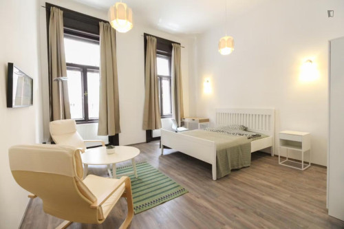 Big double bedroom in Terézváros