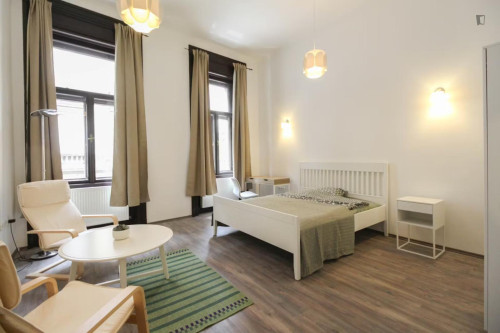 Big double bedroom in Terézváros
