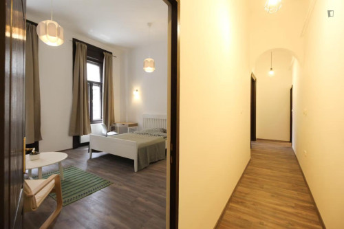Big double bedroom in Terézváros