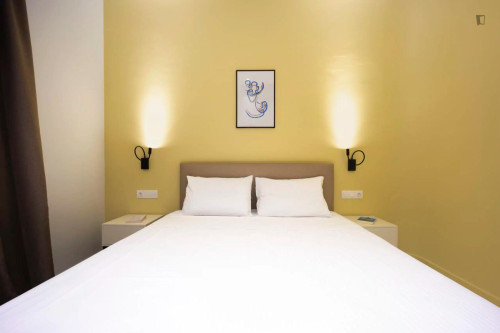 Inspiring Double Bedroom with a private bathroom close to Athens University of Economics and Business