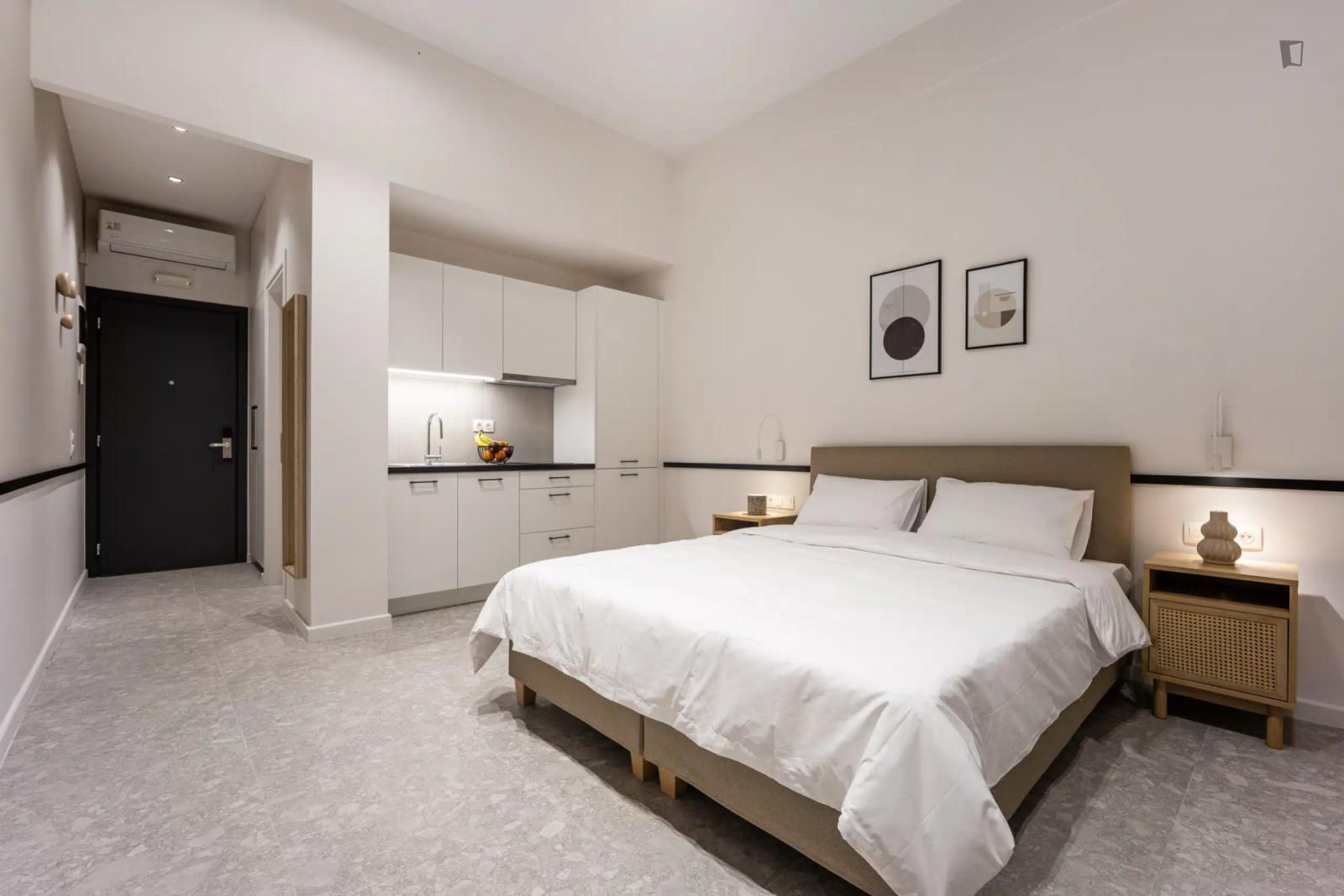  Exciting Studio Close To Athens University  -  Exciting Studio close to Athens University  - Gallery -  1