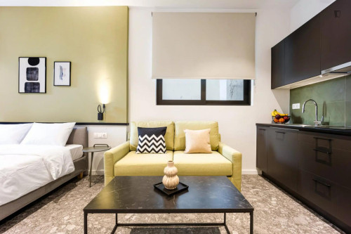 Dreamy Studio close to Athens University