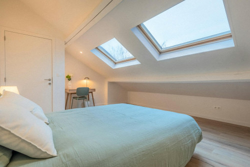 Rue Fontaine del Saulx, Lille