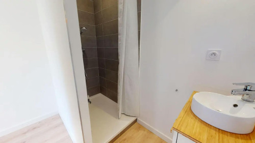 Cours Jean Jaurès, Grenoble