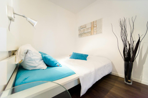 Kohlrauschstraße, Munich