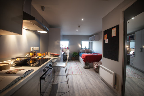 Bede Park  - Gallery -  4