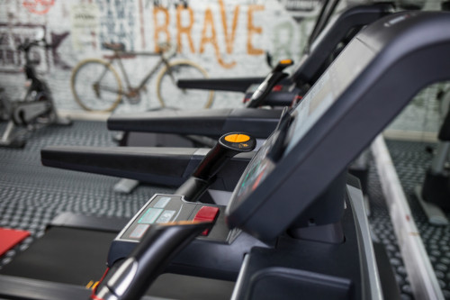 Bede Park  - Gallery -  5