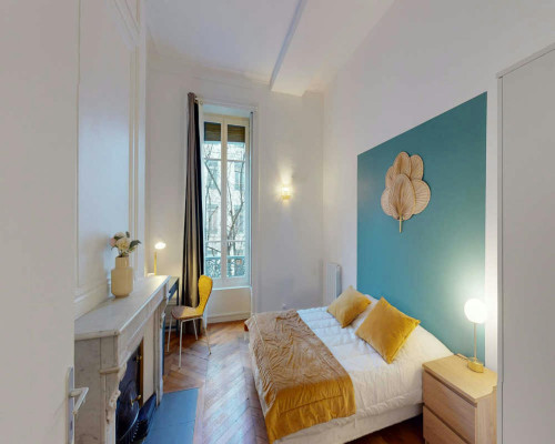 Rue de la République, Lyon