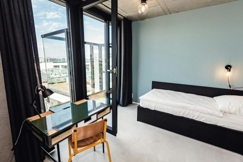 Stralsunder Straße, Berlin