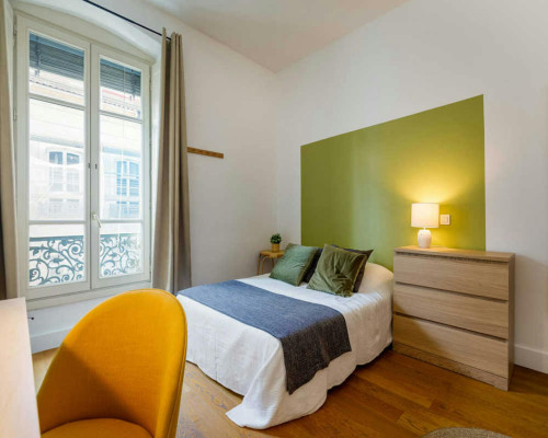 Rue de la République, Lyon