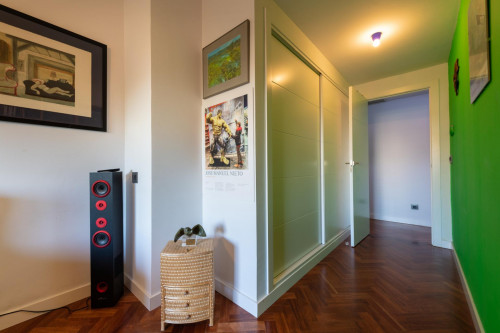 Lovely single bedroom with a sofa-bed close to Madrid Chamartín station