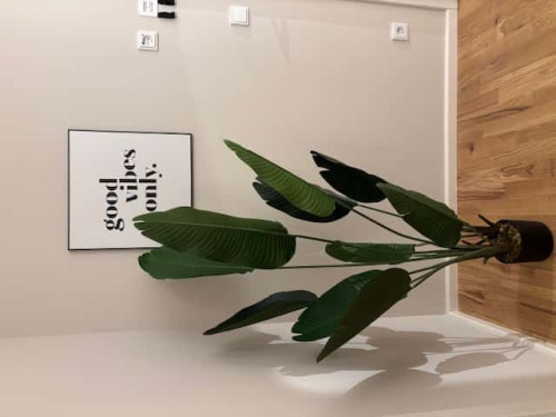 Apartment in Geschwister-Scholl-Straße, Potsdam for 65 m² with 1 bedroom - Gallery - 9