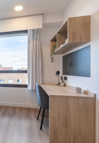 Estrada 11  - Gallery -  5