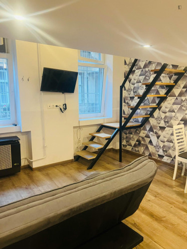 Appealing studio in District VI.