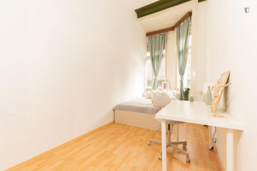 Pleasant double bedroom in center of Budapest