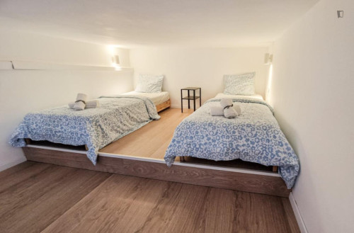 Charming studio in District VII.