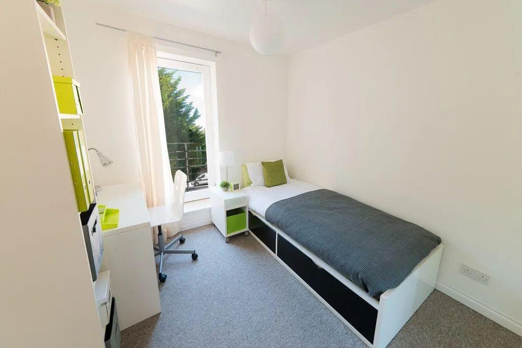 Standard 3 Bed Flat - 10