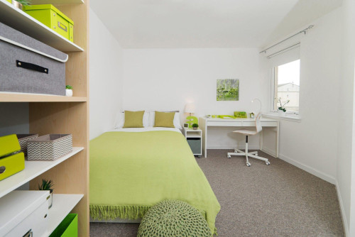 Trinity Court - Gallery - 190