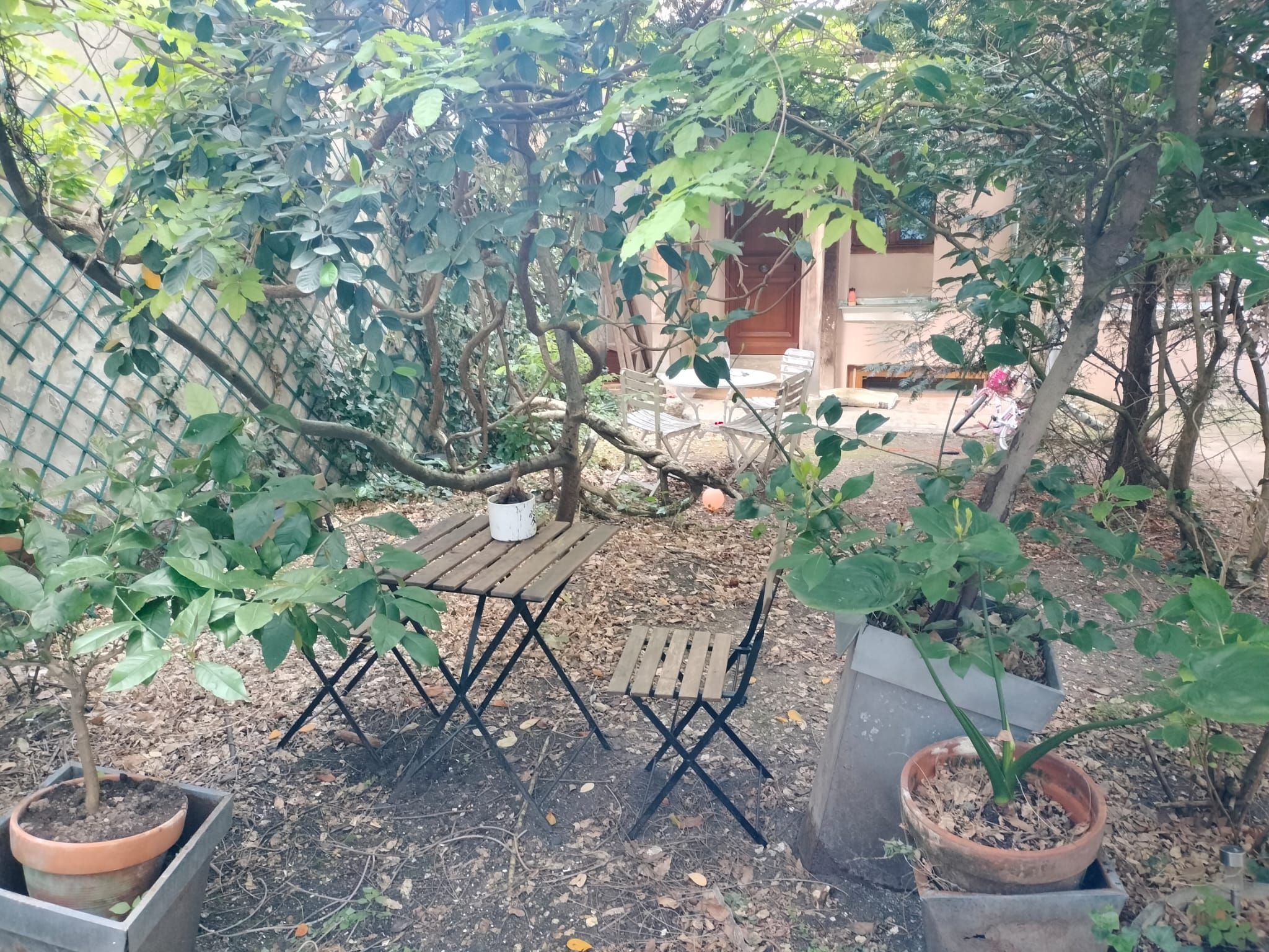  Beautiful Flat With Private Garden In The Heart Of Paris  -  Beautiful flat with private garden in the heart of Paris  - Gallery -  5