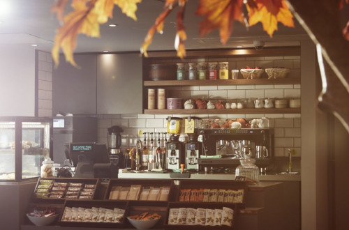York City @Roomzzz - Gallery - 11