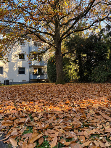 Lovely, beautiful suite located in Düsseldorf Stockum