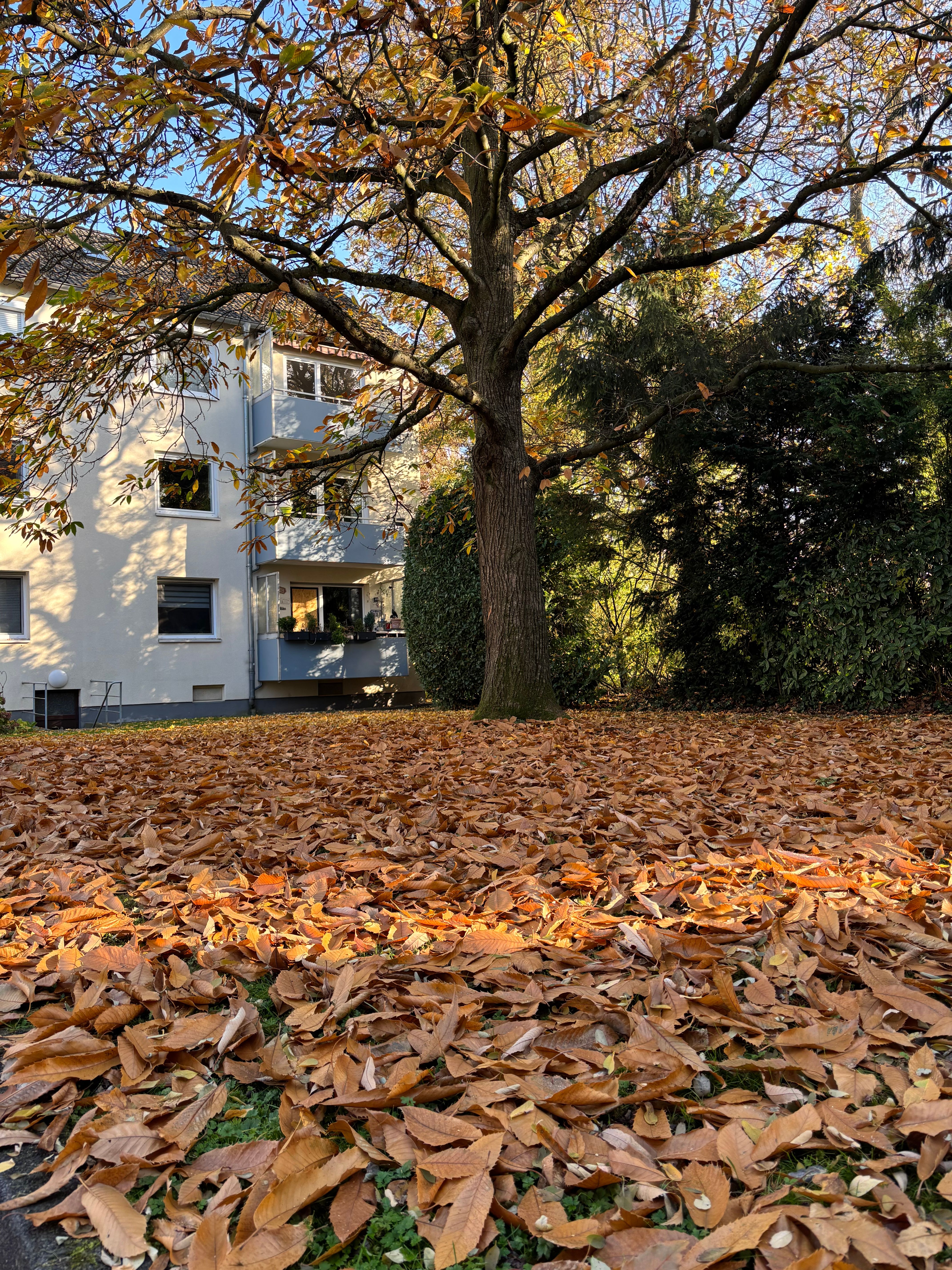  Lovely, Beautiful Suite Located In Düsseldorf Stockum  -  Lovely, beautiful suite located in Düsseldorf Stockum  - Gallery -  1