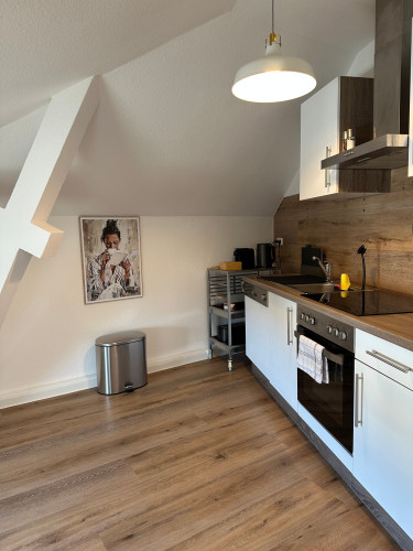 Exclusive Premium Penthouse with 30sqm Roof Terrace (LIVU Admiral)