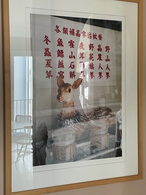 Exclusive, Fully Furnished Apartment - Exclusive, fully furnished apartment - Gallery - 2