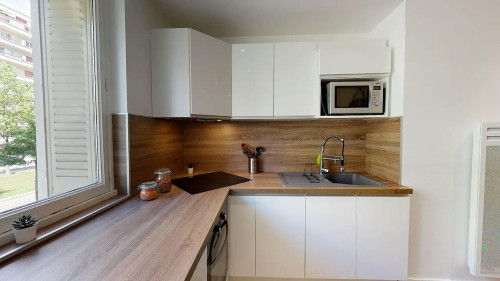 Boulevard Maréchal Foch, Grenoble  - Gallery -  5