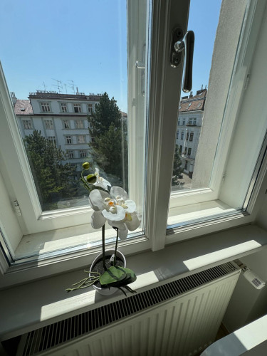 Kriemhildplatz, Vienna