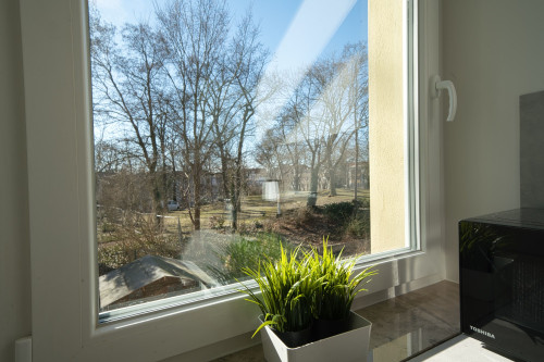 Cozy, beautiful studio in Fürstenwalde/Spree