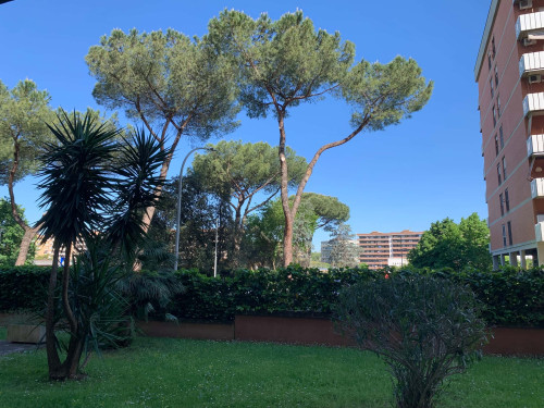 Bilocale per 3 - Via Pietro Marchisio, Cinecittà Est  - Gallery -  5