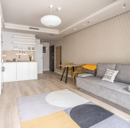 Attractive studio in the Terézváros neighbourhood