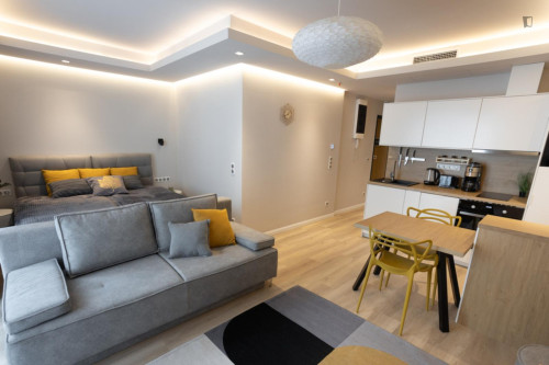 Deluxe studio in the Terézváros neighbourhood