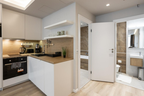 Luxurious 1-bedroom apartment in Terézváros