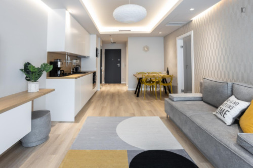 Luxurious 1-bedroom apartment in Terézváros