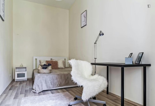 Cozy double bedroom in Budapest