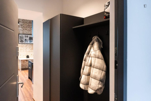 Very nice studio in Terézváros