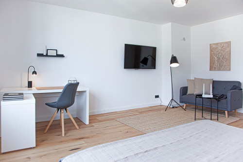Amazing and gorgeous apartment in Düsseldorf - Gallery - 15