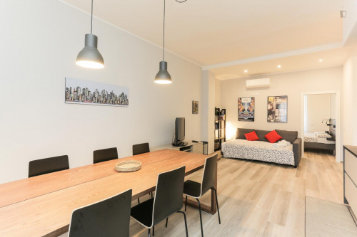 Beautiful 2-bedrooms flat near Città Studi