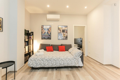 Beautiful 2-bedrooms flat near Città Studi - Gallery - 17
