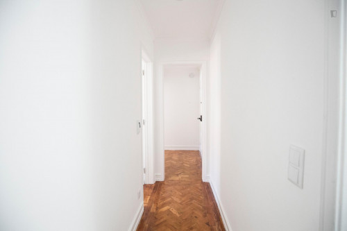 Comfy single bedroom in Santa Apolónia