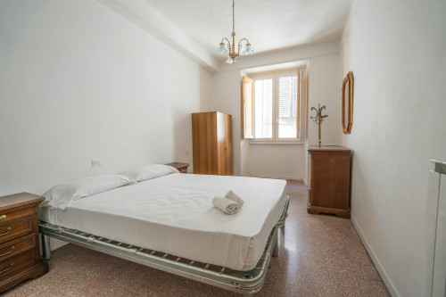 Borgo degli Albizi, Florence