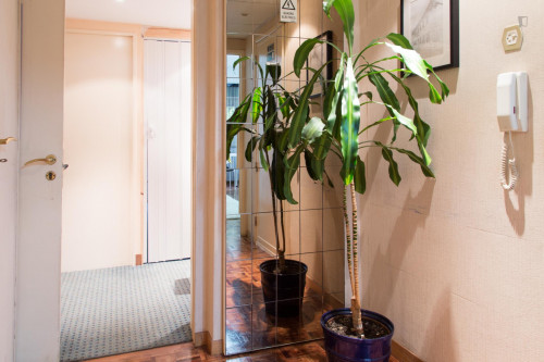 Snug single bedroom close to Jardim Zoológico metro station