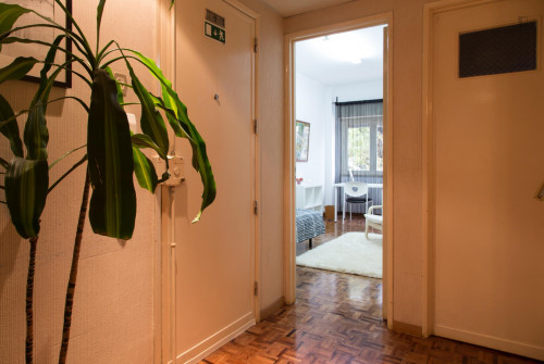 Snug single bedroom close to Jardim Zoológico metro station