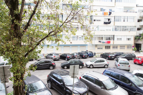 Snug single bedroom close to Jardim Zoológico metro station