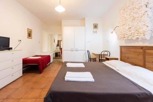 Apartment in Viale Giulio Cesare, Roma for 45 m²